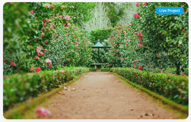 Mother Greencare - Nursery & Landscaping